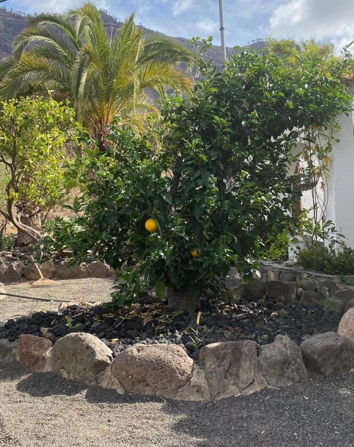Casa Colonia Apartment Mogan Exterior photo
